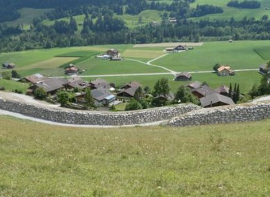 Steinschlagschutz Erlenbach