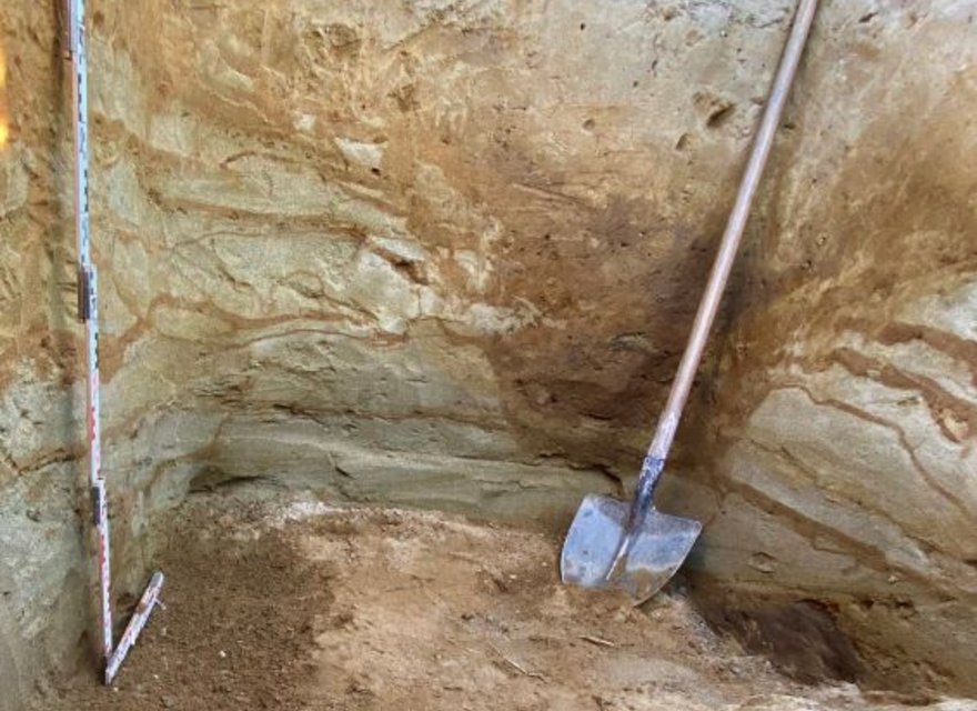 Bodenprofil Nr. 1 Ausschnitt