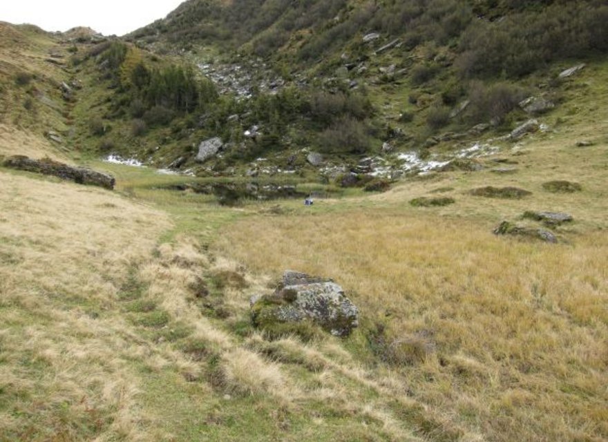 Feuchtbiotop Standort 1 Ausgangslage