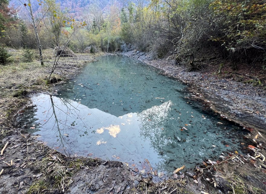 Grosser Weiher nacher