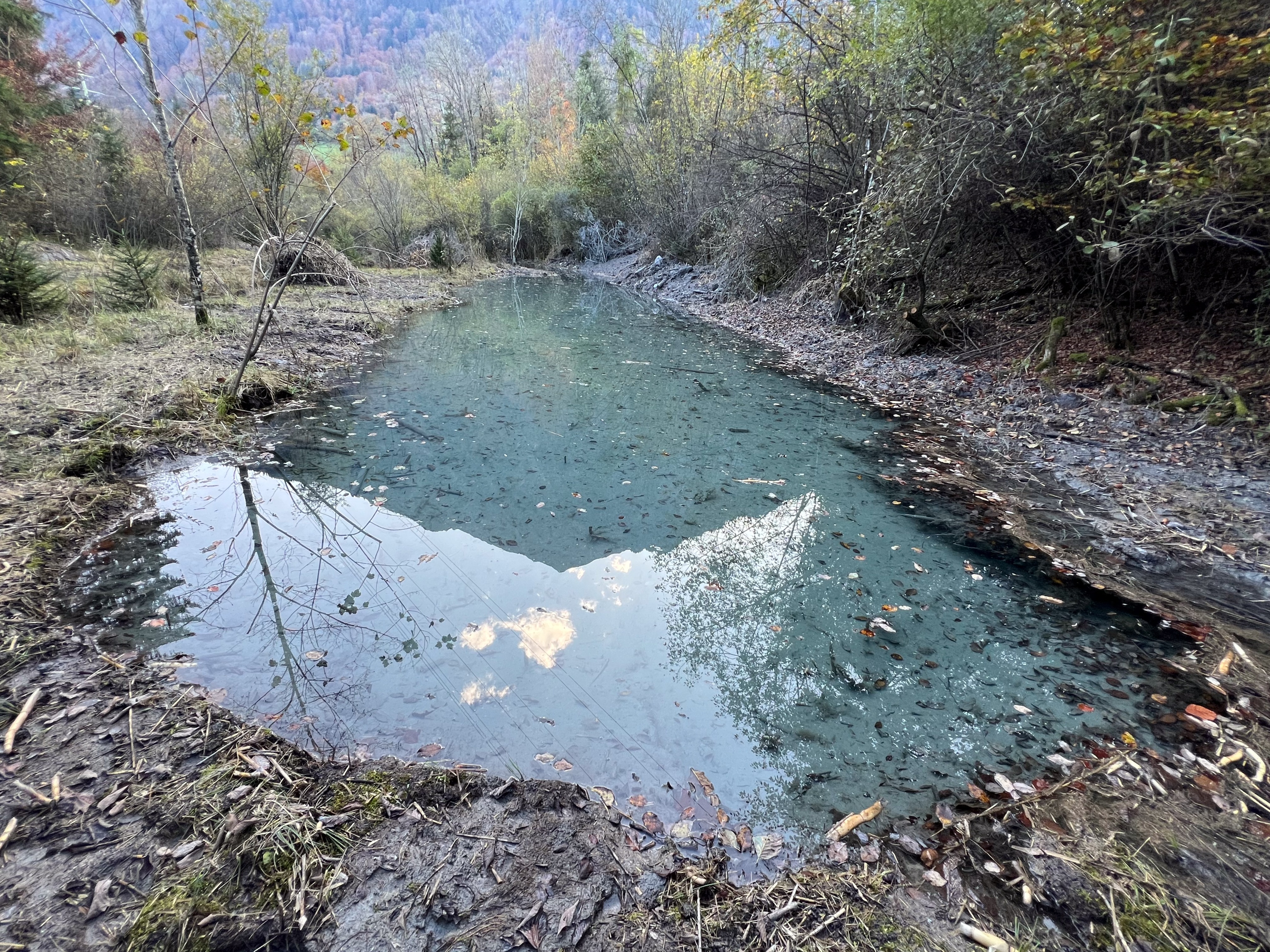 Grosser Weiher nacher
