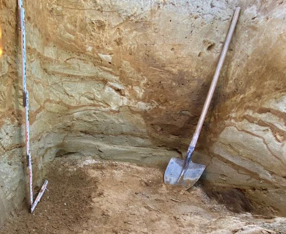 Bodenprofil Nr. 1 Ausschnitt