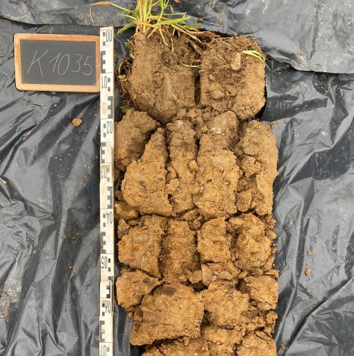 Bodenprobe bereit für die Analyse